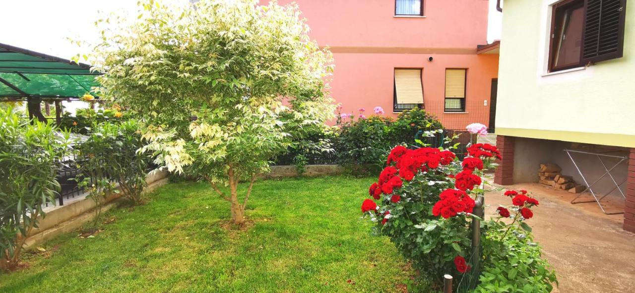 Apartments Grassi By Rent Istria Umag Exterior photo